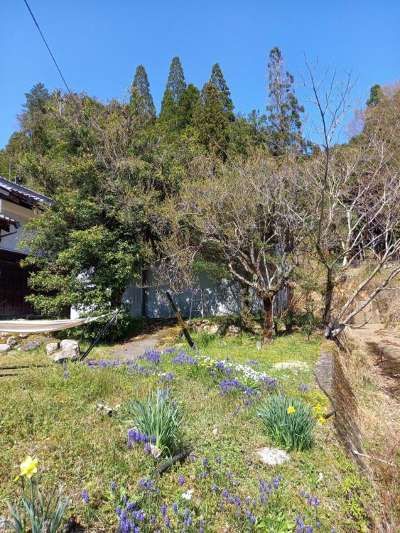 1日1組限定 田舎体験 古民家宿 樹々庵 Juju-An جيرو المظهر الخارجي الصورة